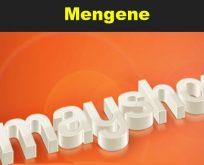Mengene