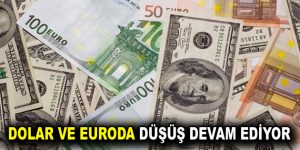Dolar ve Euroda serbest düşüş devam ediyor