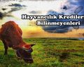 Hayvancılık Kredilerinin BilinmeyenleriHayvancılık Kredilerinin Bilinmeyenleri