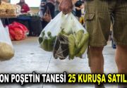 NAYLON POŞETİN TANESİ 25 KURUŞA SATILACAK Marketlerde poşetin parayla satılmasını