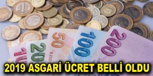 2019 Asgari Ücret belli oldu