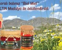 Propolis Nedir?