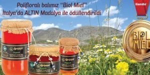 Propolis Nedir?