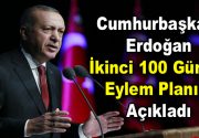 Erdoğan İkinci 100 Günlük Eylem Planı açıkladı Cumhurbaşkanı Erdoğan, Beştepe