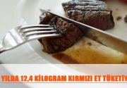 YILDA 12,4 KİLOGRAM KIRMIZI ET TÜKETİYORUZ Türkiye’nin yılda kişi başına