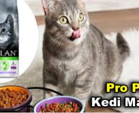 Pro Plan Kedi Maması