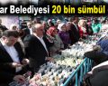 Bağcılar Belediyesi 20 bin sümbül dağıttı