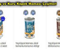 Yaş ve Kuru Köpek Maması Çeşitleri | www.ziraidepo.com
