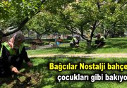 Bağcılar Nostalji bahçelerine çocukları gibi bakıyorlar Bağcılar Belediyesi’nin Nostalji Bahçeleri,