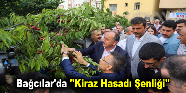Bağcılar’da ”Kiraz Hasadı Şenliği”
