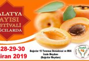  “Bağcılar, 1. Malatya Kayısı Festivali’ne ev sahipliği yapıyor” Dünya lideri