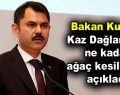 Bakan Kurum: Kaz Dağları’nda ne kadar ağaç kesildiğini açıkladı