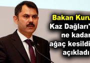 Bakan Kurum: Kaz Dağları’nda 13 bin ağaç kesildi Kaz Dağları’nda
