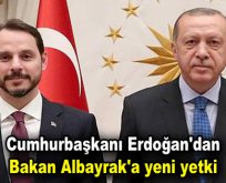 Erdoğan’dan Berat Albayrak’a yeni yetki