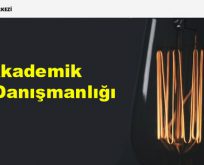 Akademik Tez Danışmanlığı