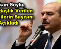 Bakan Soylu, vatandaşlık verilen Suriyelilerin sayısını açıkladı