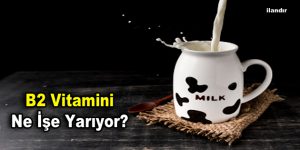 B2 Vitamini Ne İşe Yarıyor?