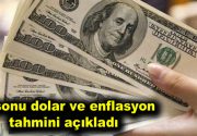 Merkez Bankası yıl sonu dolar ve enflasyon tahminini açıkladı Merkez