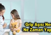Grip Aşısı Grip Aşısı Nedir, Ne Zaman Yapılır, Grip Aşısının