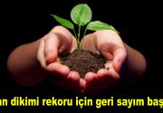 Fidan dikimi rekoru için geri sayım başladı Tarım ve Orman