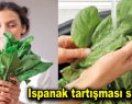 Ispanak tartışması sürüyor