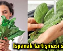 Ispanak tartışması sürüyor