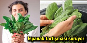 Ispanak tartışması sürüyor