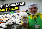 Bağcılarlı engelliler bir ayda 300 kilo mantar üretti Bağcılar Belediyesi