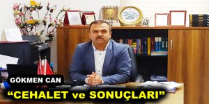 CEHALET ve SONUÇLARI