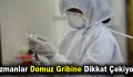 Uzmanlar Domuz Gribine Dikkat Çekiyor!