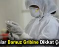 Uzmanlar Domuz Gribine Dikkat Çekiyor!