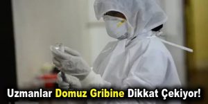 Uzmanlar Domuz Gribine Dikkat Çekiyor!