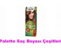 Palette Saç Boyası Çeşitleri