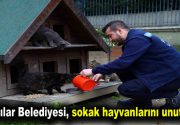 Bağcılar Belediyesi, sokak hayvanlarını unutmadı Bağcılar Belediyesi ekipleri, soğuk kış