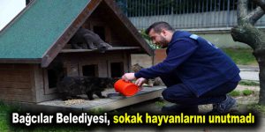 Bağcılar Belediyesi, sokak hayvanlarını unutmadı