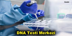 DNA Testi Merkezi Hangi Şehirlerde Hizmet Veriyor?
