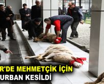 ESENLER’DE MEHMETÇİK İÇİN KURBAN KESİLDİ