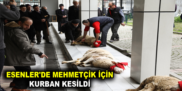 ESENLER’DE MEHMETÇİK İÇİN KURBAN KESİLDİ