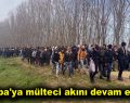 Avrupa’ya mülteci akını devam ediyor