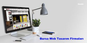 Bursa Web Tasarım Firmaları