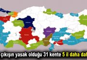 Giriş çıkışın yasak olduğu 31 kente mecburiyetten 5 ilimiz daha