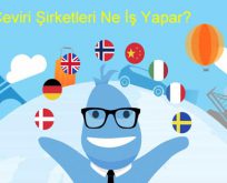 Çeviri Şirketleri Ne İş Yapar?