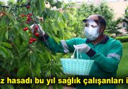 Kiraz hasadı bu yıl sağlık çalışanları için Bağcılar Belediyesi tarafından