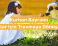 Kurban Bayramı Çocuklar için Travmaya Dönüşmesin