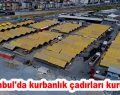 Kurbanlıklar İstanbul’a gelmeye başladı