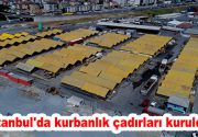 Kurbanlıklar İstanbul’a gelmeye başladı Kurban Bayramı’nın yaklaşması ile birlikte Anadolu’dan