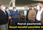 Sosyal mesafeli kurban pazarlıkları başladı Koronavirüs salgını nedeniyle kurban pazarlarında