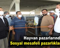 Sosyal mesafeli kurban pazarlıkları başladı