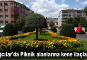 Bağcılar’da Piknik alanlarına kene ilaçlaması Bağcılar’da dört mevsim güzelliği yaşatmak