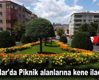 Bağcılar’da Piknik alanlarına kene ilaçlaması